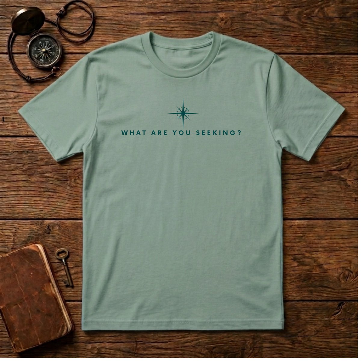 What are you seeking?  T-Shirt